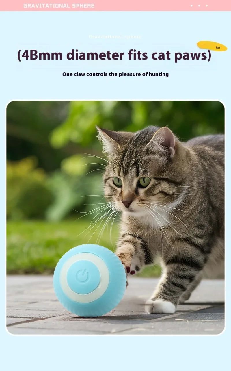 Gravity Intelligent Rolling Ball Cat Toys USB Charging Pet Accessorie Grinding Teeth Resistant To Bite Amuse Pet Toys kitten