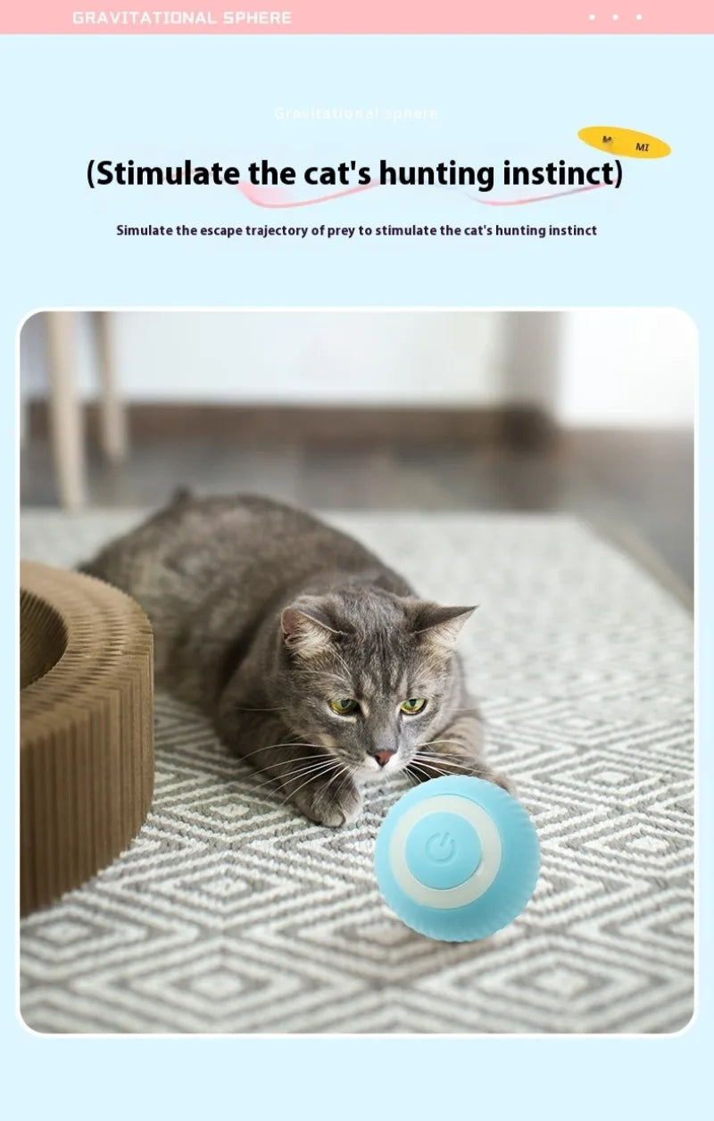 Gravity Intelligent Rolling Ball Cat Toys USB Charging Pet Accessorie Grinding Teeth Resistant To Bite Amuse Pet Toys kitten