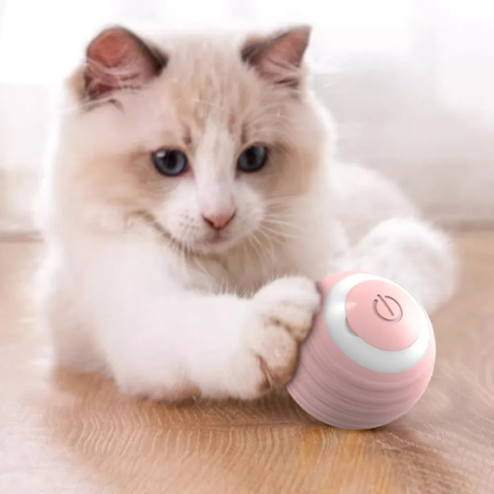 Smart Interactive Cat Toy Training Auto Rolling Ball Self-moving Kitten Auto Rolling Magic Ball Rechargeable Toys for Cats Dogs