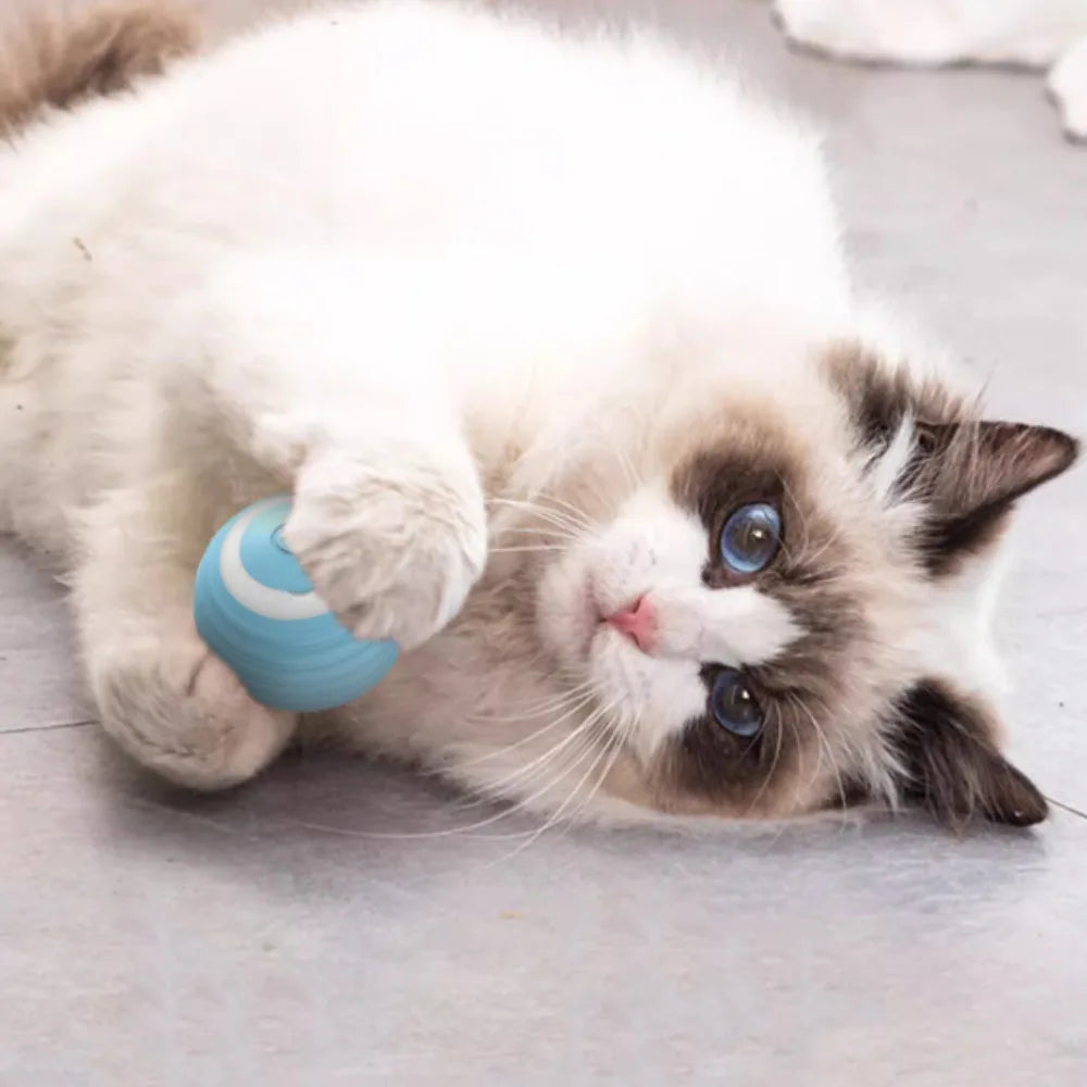 Smart Interactive Cat Toy Training Auto Rolling Ball Self-moving Kitten Auto Rolling Magic Ball Rechargeable Toys for Cats Dogs