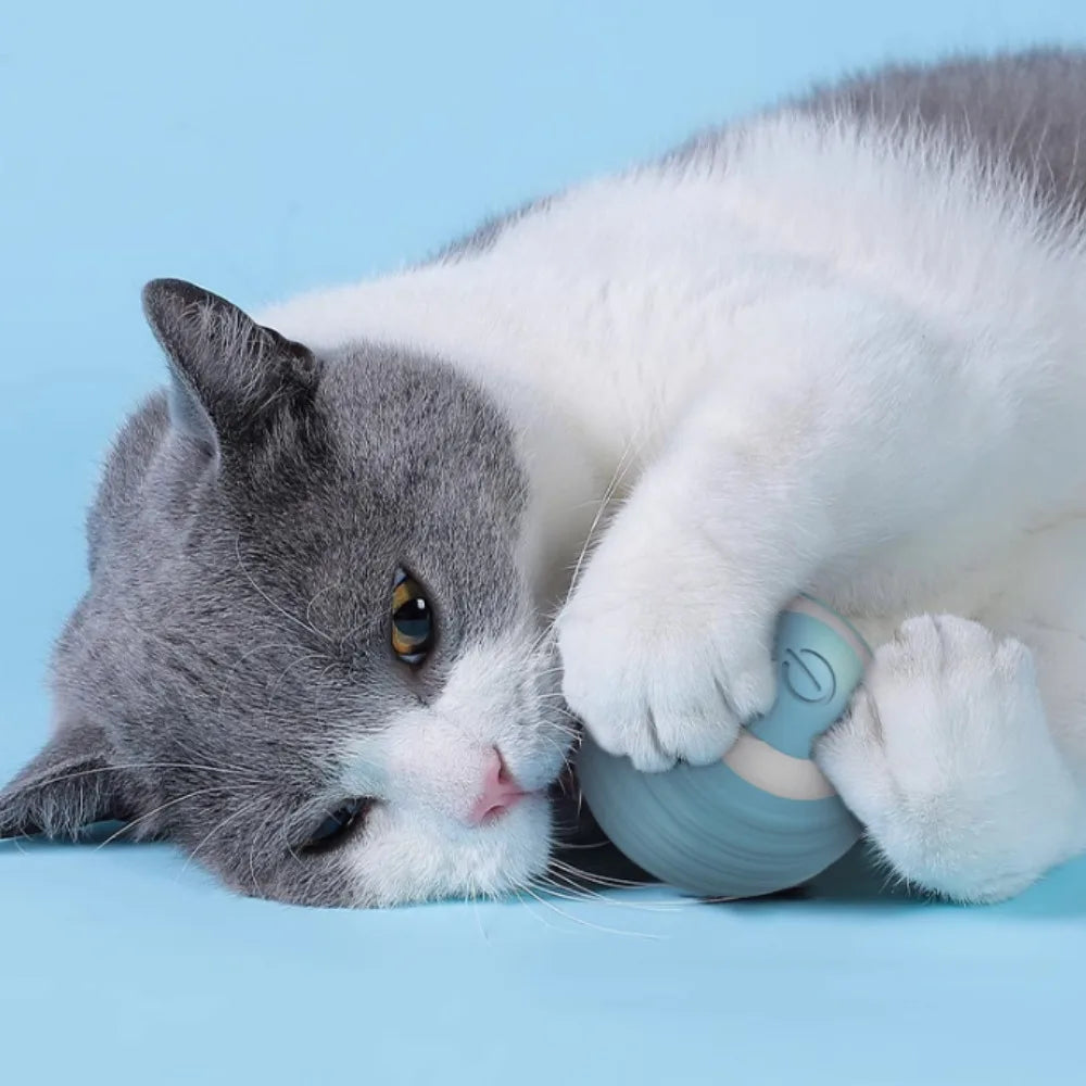 Smart Interactive Cat Toy Training Auto Rolling Ball Self-moving Kitten Auto Rolling Magic Ball Rechargeable Toys for Cats Dogs