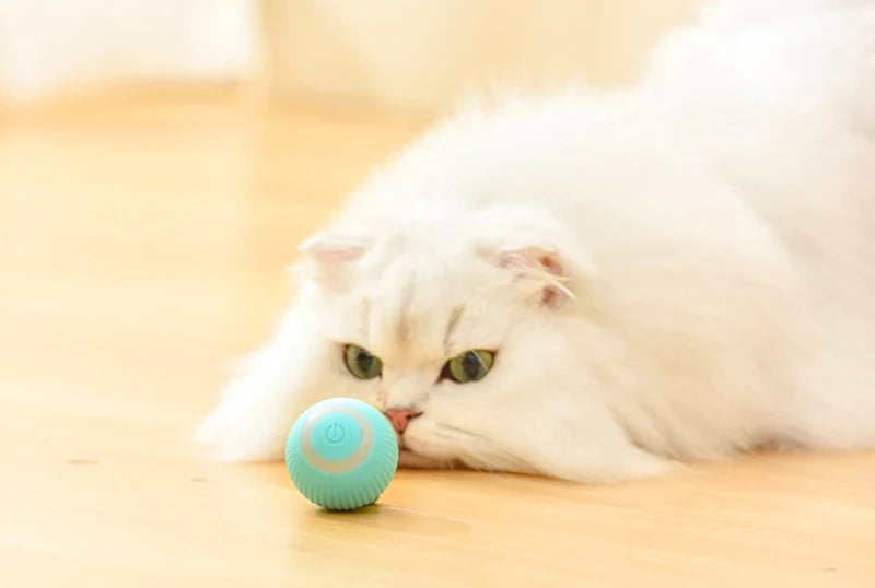 Electric Cat Ball Toys Automatic Rolling Smart Cat Toys for Cats Training Self-moving Kitten Toys for Indoor Interactive Playing