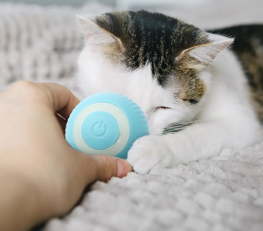 Gravity Intelligent Rolling Ball Cat Toys USB Charging Pet Accessorie Grinding Teeth Resistant To Bite Amuse Pet Toys kitten